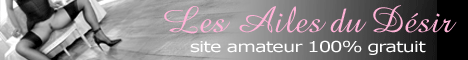 Les Ailes du d&eacute;sir